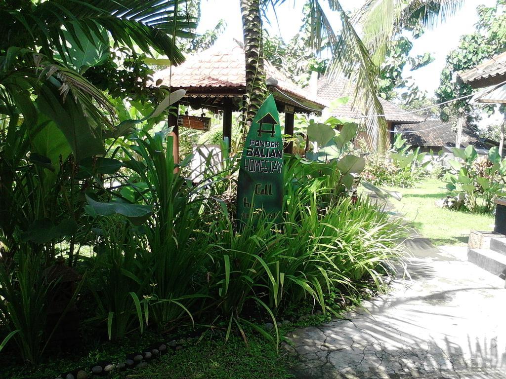 Pondok Balian Selemadeg  Ngoại thất bức ảnh