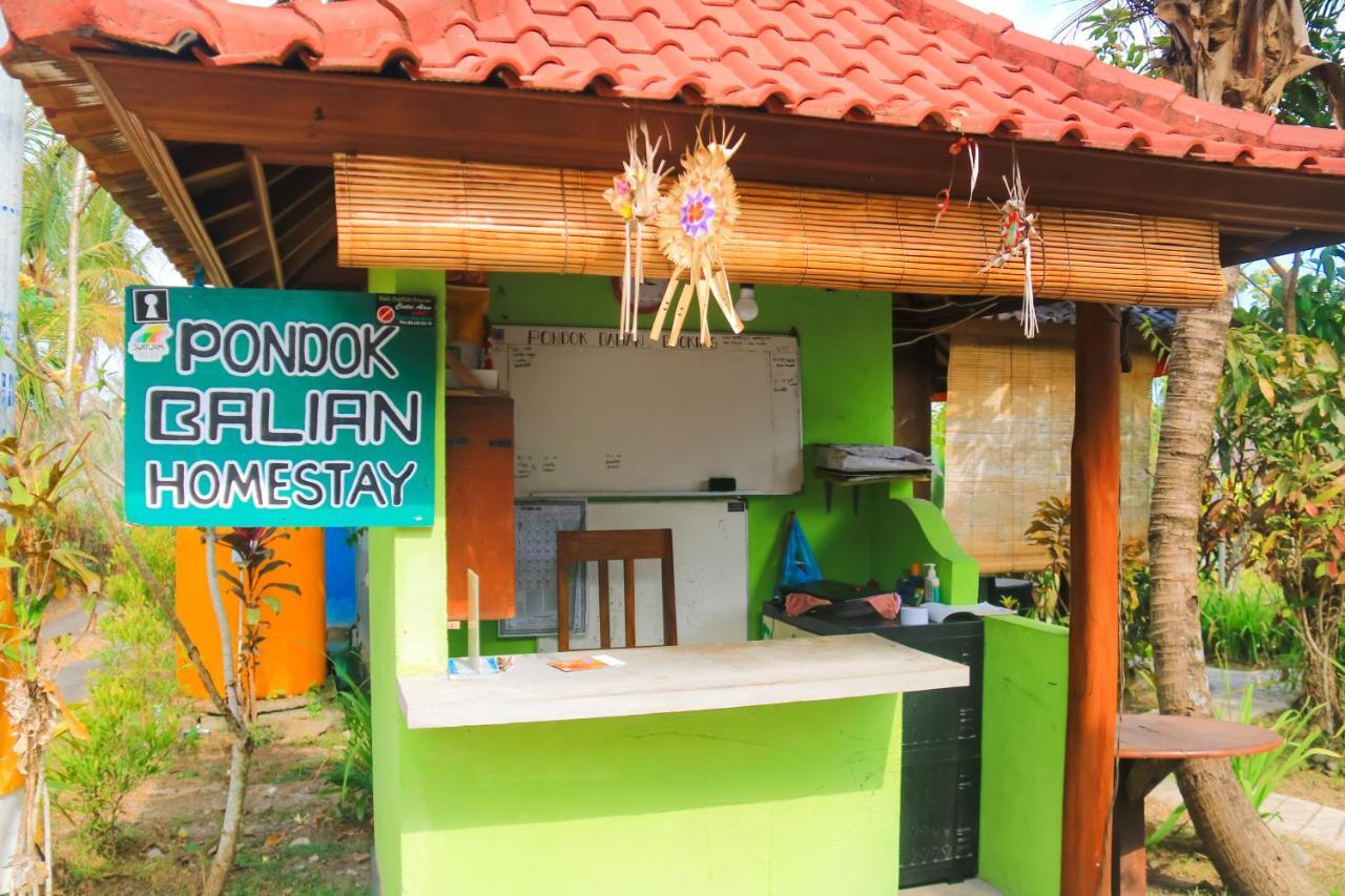 Pondok Balian Selemadeg  Ngoại thất bức ảnh